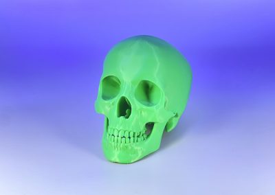 Fusion3 EDGE Sample Print: Detailed Skull PLA